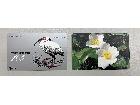テレカ105度　テレフォンカードの詳細ページを開く