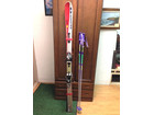 salomon サロモン DEMO 09 165cm ストック付 中古品の詳細ページを開く