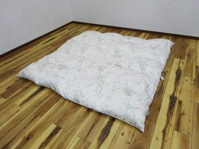 ロマンス小杉 羽毛掛け布団 DOWNQUILT （ その他家具）の買取