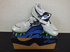 asics アシックス タイガーパウエフォートES 27.5cmの詳細ページを開く