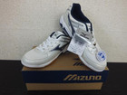 Mizuno ミズノ ウエーブスターダム LJⅢ 23cmの詳細ページを開く
