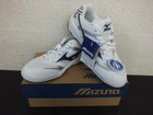 Mizuno ミズノ ウエーブスターダム LJⅡ 22.5cmの詳細ページを開く