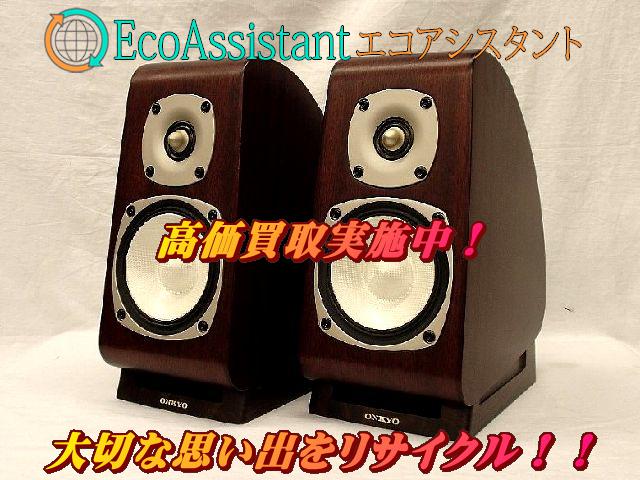 ONKYO D-TK10 ギターアコースティックスピーカー （2台1組） 513fzQIoGAL.jpg_BO30,255,255,
