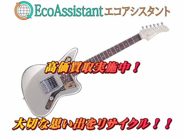 FERNANDES フェルナンデス エレキギター 八街市