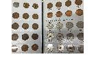 コインブック買取　コインアルバム買取　記念硬貨買取　遺品整理　買取箕面　おたからや箕面店の詳細ページを開く