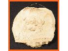 備前焼 木村玉舟作 子犬 いぬ イヌ 陶板 約23.0×24.5cm 壁掛け 壁飾り オブジェ 陶器の詳細ページを開く