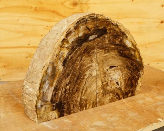 珪化木 木化石 8kg 置物 オブジェ インテリア（その他コレクターズアイテム）の買取価格 （ID:319663）｜おいくら