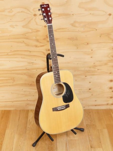 Wood Land アコースティックギター WD-110N （ ギター・ヴァイオリン等