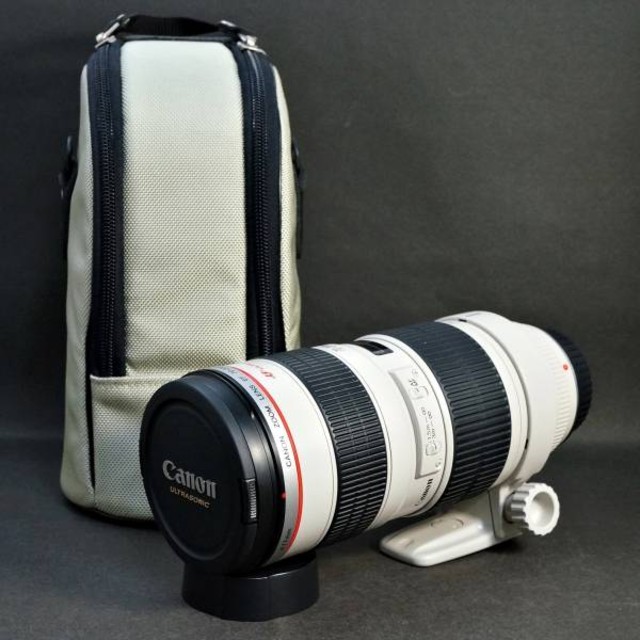 Canon 望遠ズームレンズ