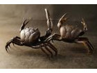 銅製蟹夫婦 カニ2点 置物 盆栽道具 ブロンズ彫刻の詳細ページを開く
