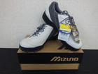 Mizuno ミズノ インテージ 25cm EEEの詳細ページを開く