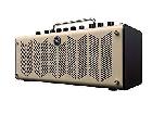 YAMAHA(ヤマハ) THR10 V.2 ギターアンプ 動作品 コンボアンプの詳細ページを開く