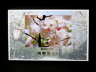 【買取専門店 よろずや あびこ店】特年 昭和62年 1987 ミント 貨幣セット 平野撫子桜の詳細ページを開く