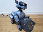 SONY AIBO ERS-210 ゴールド 充電器 キャリングバッグ 通電確認 ソニー アイボ ERS-210 ERS-210 Aibo Overview | Learn About