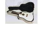 Cole Clark CC FLISHEC-BB-TWHT TransWhite アコギの詳細ページを開く
