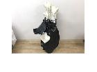 【未使用】 HUMAN HARMONIZED ゴルフクラブ 9本セット ドライバー ゴルフバッグの詳細ページを開く