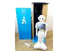 【美品】Softbank  AIロボット Pepper ペッパー君 一般販売モデル 初期化済の詳細ページを開く