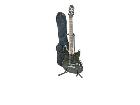 FERNANDES フェルナンデス GUITERS エレキギター APG ダークグリーンの詳細ページを開く