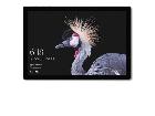 Microsoft タブレット Surface Pro Wi-Fi FJS-00014 1796の詳細ページを開く