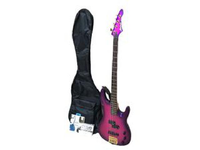 Aria Pro Ⅱ MAGNA series エレキベース 弦 ベース 音楽 楽器