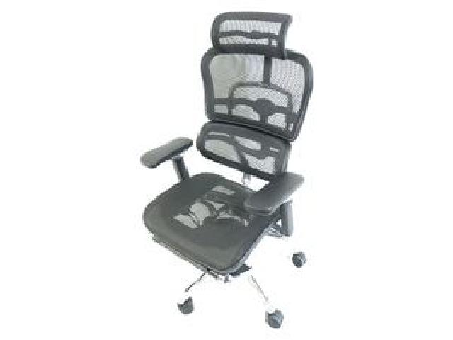 エルゴヒューマン プロ オットマン Ergohuman PRO ottoman EHP-LPL 