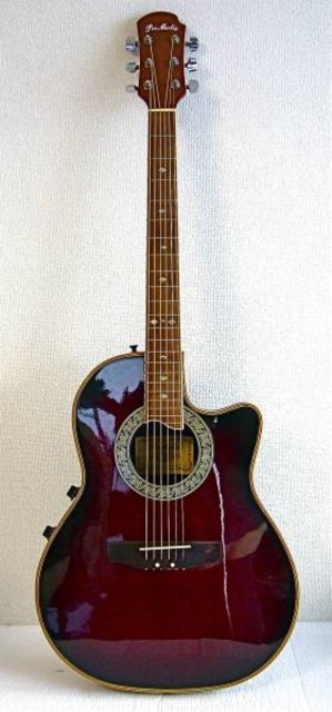 プロマーティン EA350RDS