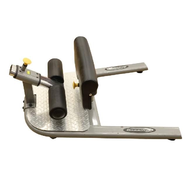  スチールフレックス steel flex WC-257 シシースクワット
