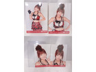 AKB48 Theater 2011高橋みなみ 写真 アイドルグッズ 買取 価格 千葉県 柏市の詳細ページを開く