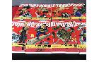 【出張買取】ドラゴンボール/DRAGON BALL/完全版/1～34/全巻セット/漫画/全巻帯付の詳細ページを開く