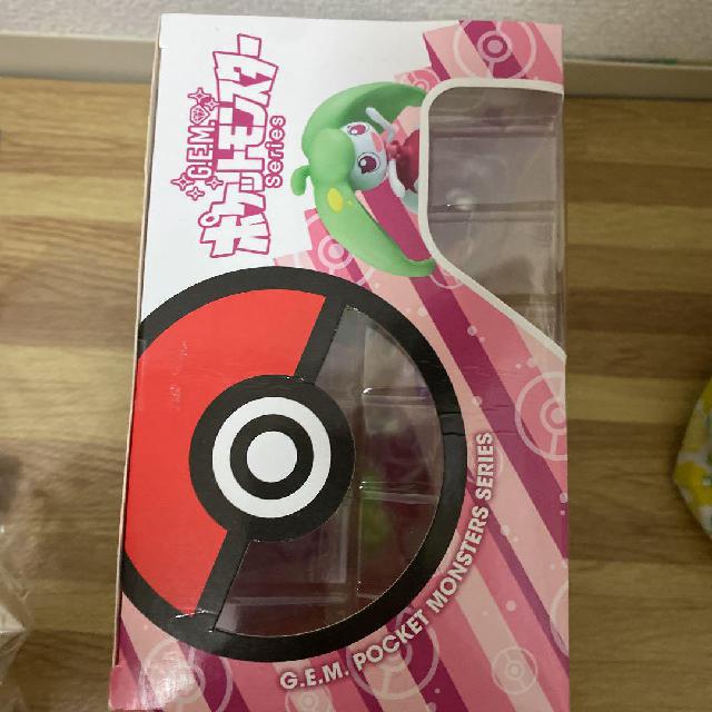G.E.M.シリーズ ポケットモンスター マオ＆アママイコ