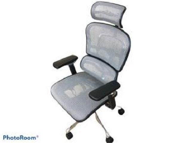 ErgohumanProエルゴヒューマンプロ 高級オフィスチェア オットマンなし メッシュ
