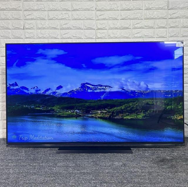 TVS REGZA 4K有機ELテレビ 