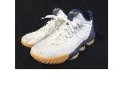 LEBRON XVI LOW ナイキ レブロン 16 LOW スニーカー ホワイト メタリックゴールの詳細ページを開く