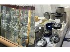 スワロフスキー  各種置物 フィギュリン 大田区 遺品整理出張買取り の詳細ページを開く
