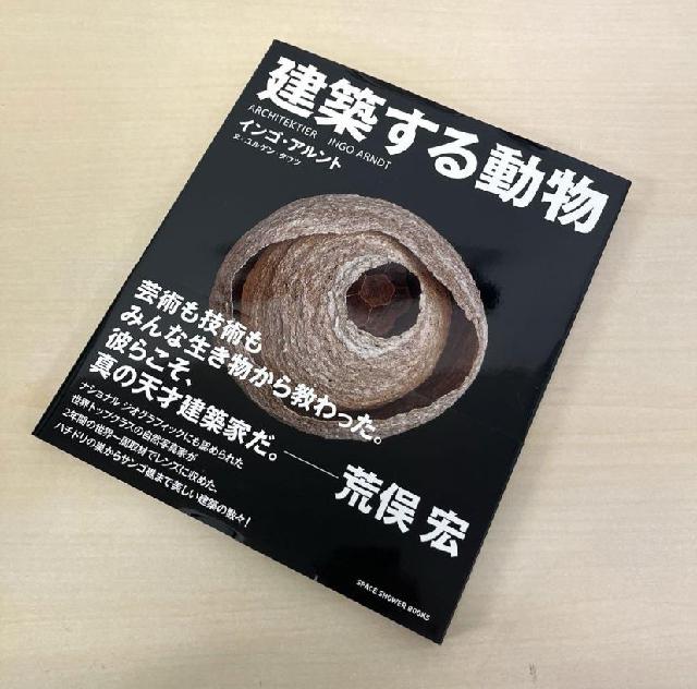 建築する動物 インゴ・アルント 帯付き