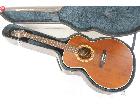 Takamine タカミネ PT507 エレアコ アコースティックギター