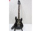 フェルナンデス FERNANDES APGシリーズ FG06112342 エレキギターの詳細ページを開く