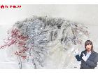 老眼鏡 度数色々 メガネフレーム 大量 約560本以上 の詳細ページを開く