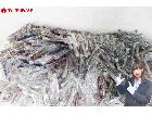 未使用 メガネフレーム 老眼鏡 超大量 度数色々 約18kg の詳細ページを開く