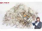  YUKIKO HANAI ダンヒル LANVIN 含む メガネフレーム サングラス 約450点 の詳細ページを開く