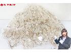 非球面レンズ 等 老眼鏡 約430点 大量 まとめてセット デッドストック 在庫品の詳細ページを開く