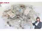  未使用 メガネフレーム サングラス 約330本 大量 まとめてセット デッドストックの詳細ページを開く