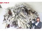 未使用 メガネフレーム サングラス 老眼鏡 約430本 大量 まとめてセット デッドストック 在庫品の詳細ページを開く
