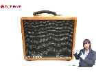 PETERSON ピーターソン GUITAR SPECIAL P100G ギター アンプ 音響 オーの詳細ページを開く