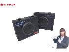 パイオニア TS-TRX800 スピーカー サブウーファー ペア カーオーディオ関連用品の詳細ページを開く