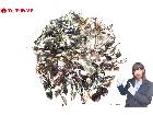 ノーブランド キッズ 含む メガネフレーム 老眼鏡 サングラス 等 アイウェア ファッション小物 現の詳細ページを開く