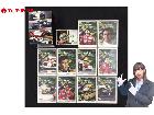 Ayrton UNFORGETTABLE アイルトン・セナ 追憶の英雄 DVD コンプリートBOX の詳細ページを開く