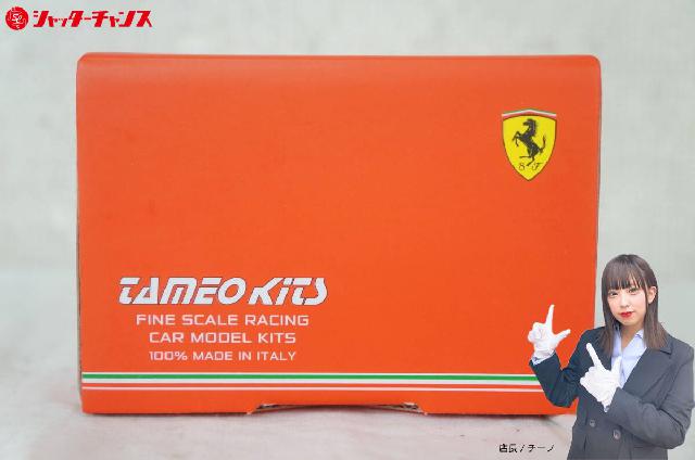 未組立 TAMEO タメオ WORD CHAMPION ワールドチャンピオン WCT61 FERRA