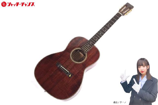 タカミネ PT-406 エレキアコースティックギター エレアコ 弦楽器 純正ハードケース付き