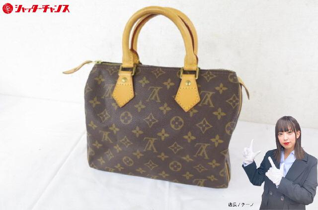 Louis Vuitton ルイ・ヴィトン スピーディ 25ミニボストンバッグ